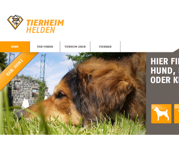 Tierheimhelden