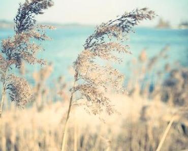 Tag am See und viele Gewinner