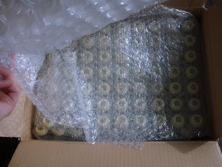 Orangenkrokant Pralinen mit Lavendel