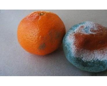 Gott im Kühlschrank