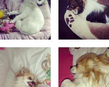 Wochenrückblick: What happened the last few days!