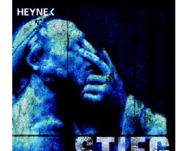 Stieg Larsson: Verblendung