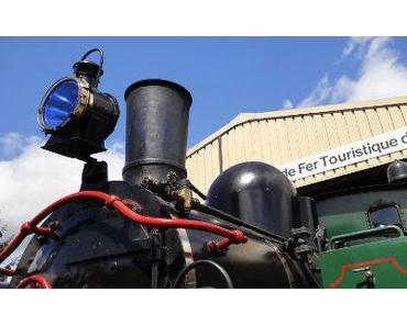 Stahlrosse in Volgelsheim