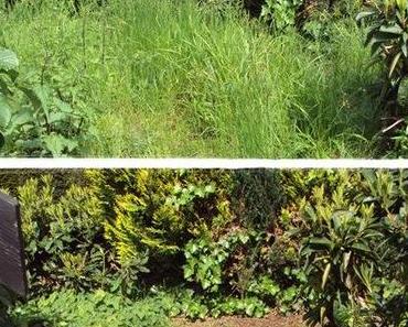 Vom “schönen Garten” noch lange entfernt …