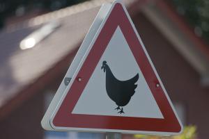 Dicke Eier für Frau Aigner und Europa