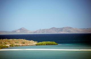 Unsere erste Individualreise auf die Halbinsel Baja California ist da!