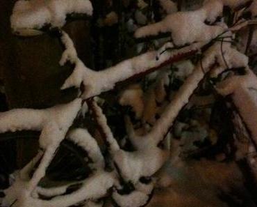 Winterimpressionen im November