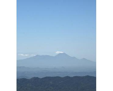 Natur und Kinderfilmpiraterie