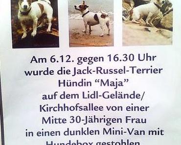 terrier geklaut!