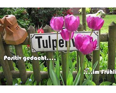 Positiv gedacht – Woche 23/2013