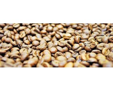 Ne Kaffeefahrt mal anders Teil II