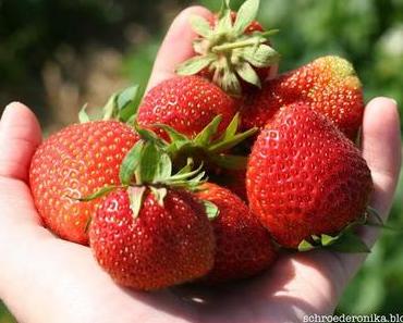 Strawberry Fields Forever.