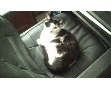 Mimi's Sonntag # 5 (: