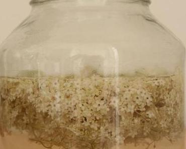 Summer drink: Elderflower Spritzer