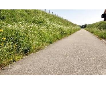 Benelux: Bahnradeln im Jura