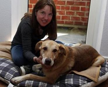 Totgeglaubter Hund nach zwei Jahren wieder zu Hause!