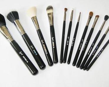 Meine neuen Sigma Pinsel