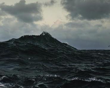 wallpaper-1689754