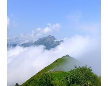 wallpaper-1689754
