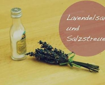 ❊DIY❊ Lavendelsalz und Salzstreuer