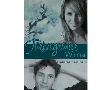 [MINI-REZENSION] "Türkisgrüner Winter" (Band 2)