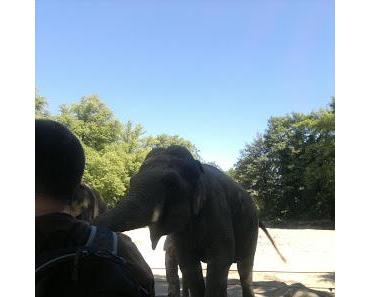 29.07.13 - Hamburg meine Peeerle  "Hagenbecks Tierpark"