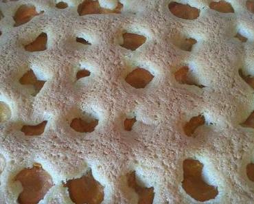 ★DIY★ Marillenkuchen