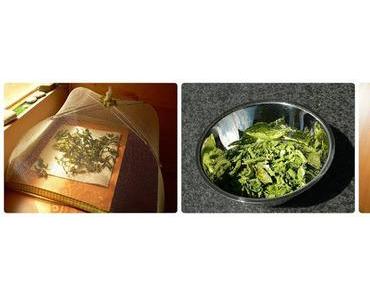 Pfefferminztee aus eigener Herstellung