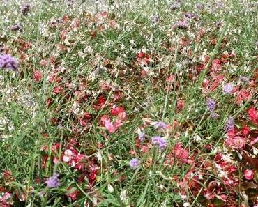 frauheuberg ist noch ein bißchen den Sommer geniessen!!!!