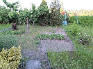 So langsam wird der Garten ein Garten...