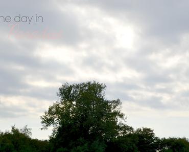 wallpaper-1689754