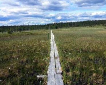 Mögest du in Frieden gehen mein Freund