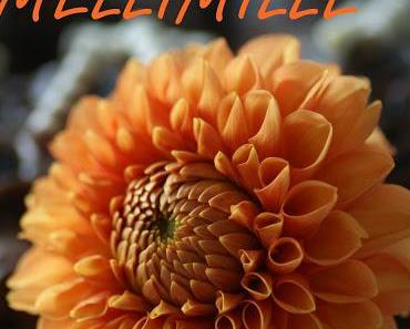 Happy Birthday, Mellimille