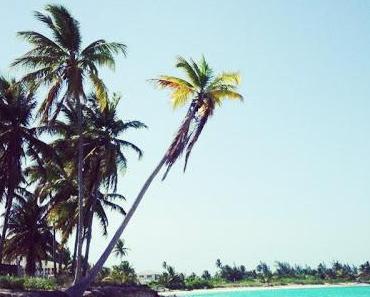 wallpaper-1689754