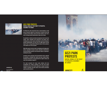 Amnesty International fordert Bestrafung der Verantwortlichen für die Gewalt in der Türkei