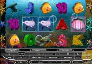 Der Slot Wild Dolphins im Onlinecasino