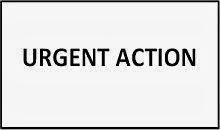 KW41/2013 - Der Menschenrechtsfall der Woche - Frauenrechtlerinnen in Saudi-Arabien