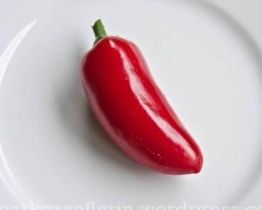 Chili-Ernte und ein Auberginen-Kürbis-Curry