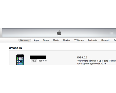 Ab Mavericks kann man Kalender etc. nicht mehr “lokal” syncen
