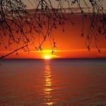 Der digitale Friedhof