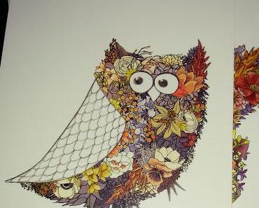 DIY, Texte, Bilder, Outfits, Snap a Shots...?