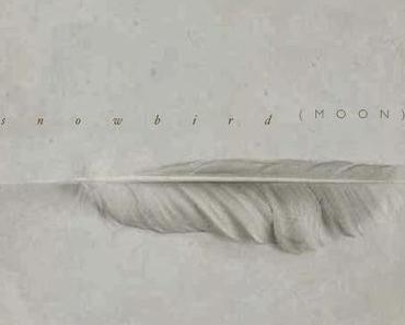 wallpaper-1689754