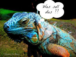 Das Leben Wie Ich Es Liebe: Oder Auch - Schweigen Ist Nicht Immer Gold