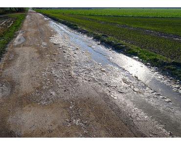 Killerwind und Rindshuft