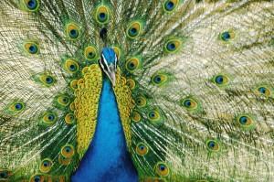 Was ist Verantwortung