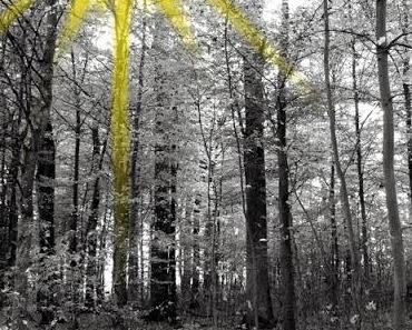 [Ni] Sterntaler {Weihnachtsgeschichte}