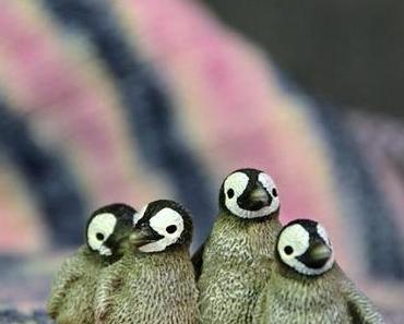 3zehn 20dreizehn [Tausendschön Serafine 40/41]