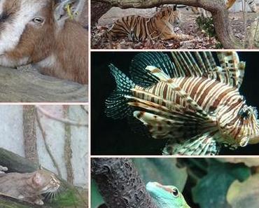 Mein Jahresrückblick 2013