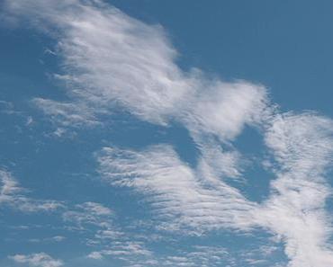 das Großartigste am Leben ist …