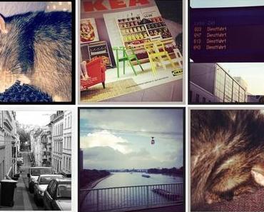 InstaWeek "Last week of laziness"